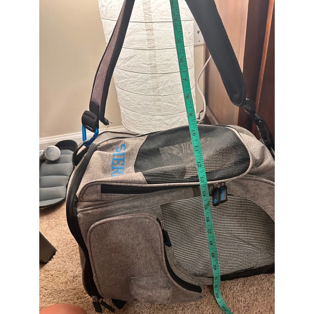 Luxury Travel for pets! - Picture 5 of 16